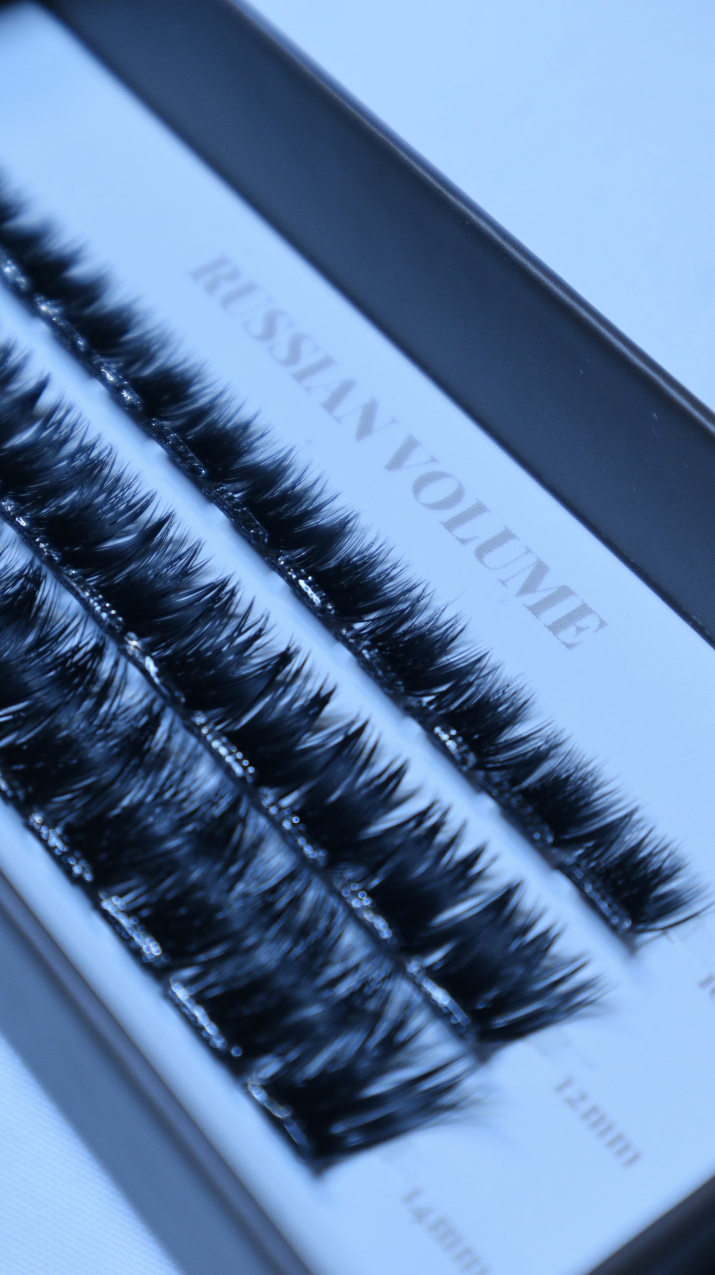 Starter Kit (incl. Mirror &amp; Eyelash Curler)